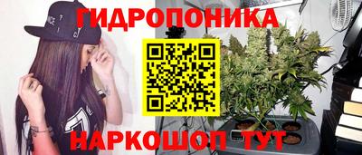скорость Лесосибирск