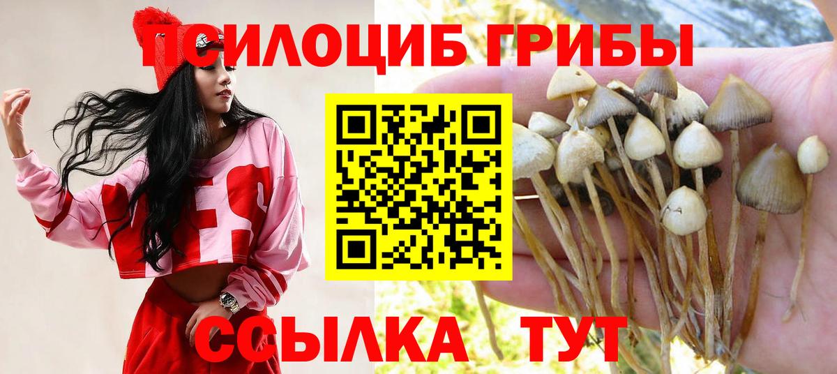 Псилоцибиновые грибы мицелий  Вход с VPN  Галлюциногенные грибы мухоморы  Долгопрудный 
